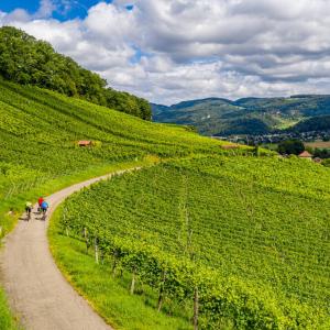 Baselland - EBike ©Baselland Tourismus