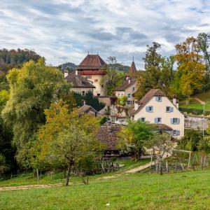 Wildenstein ©Baselland Tourismus